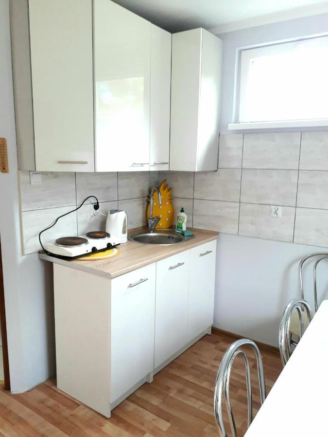 Villa Kaszubska Dolina Pięciu Stawów Wiele Exterior foto